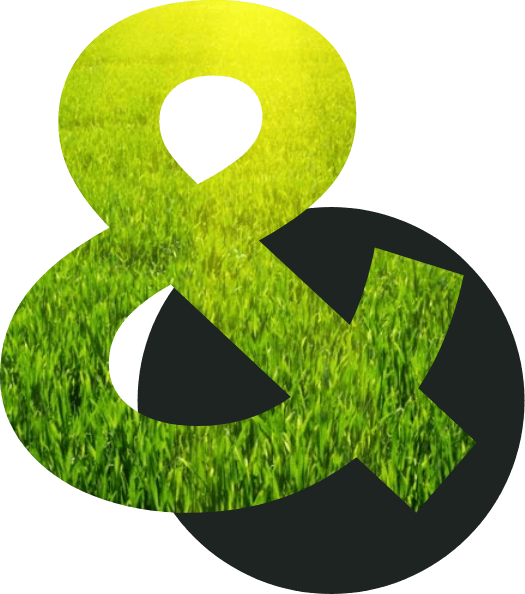 Green & Black "&" symbol