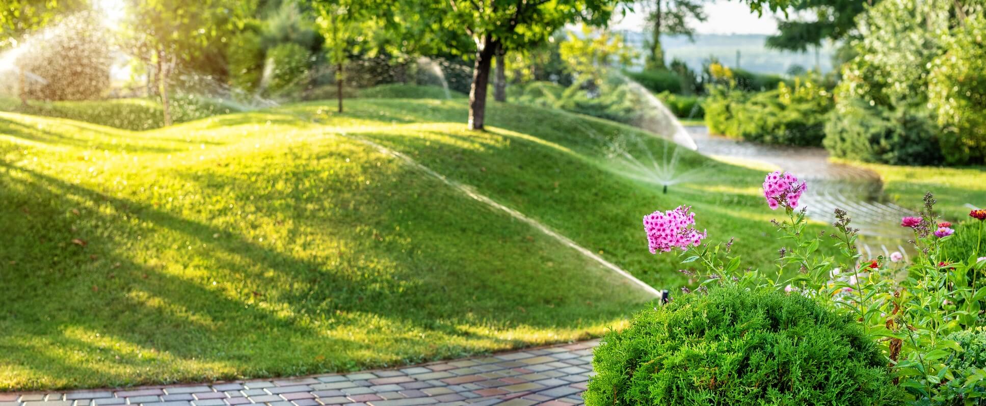 Sprinklers watering grass