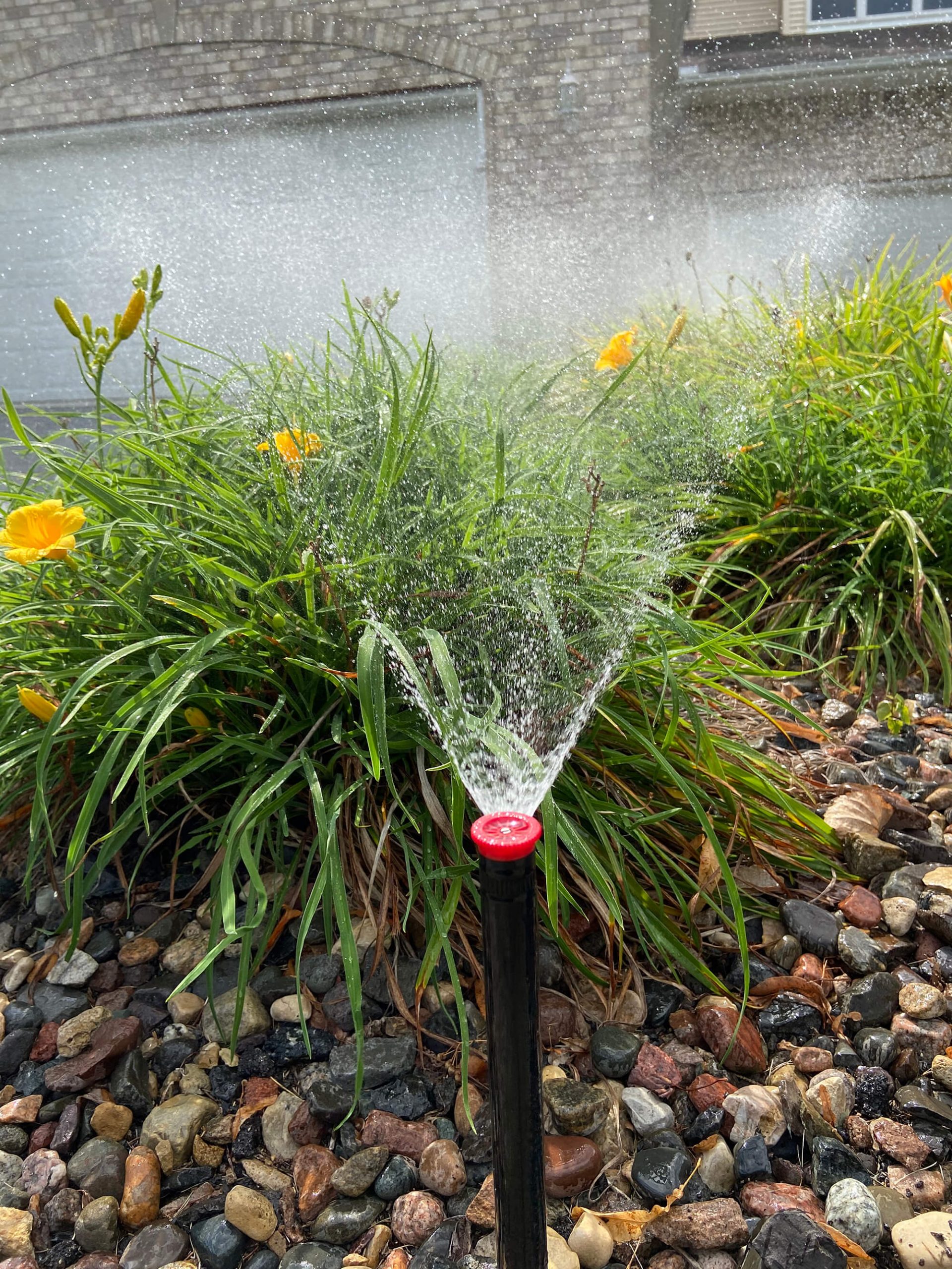 irrigation system watering flowers