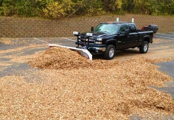 leaf removal services