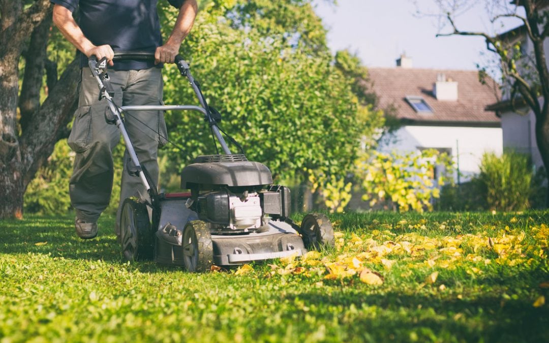 guy mowing grass with push mower