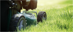 push mowing grass