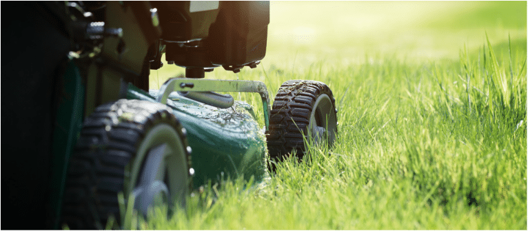 Professional discount lawn maintenance