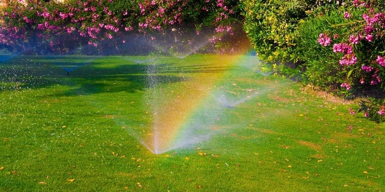 sprinkler in back yard