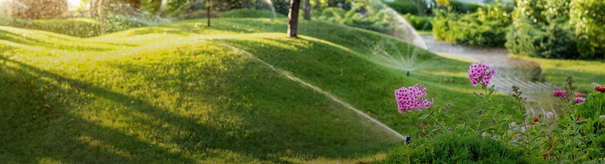 sprinklers watering grass