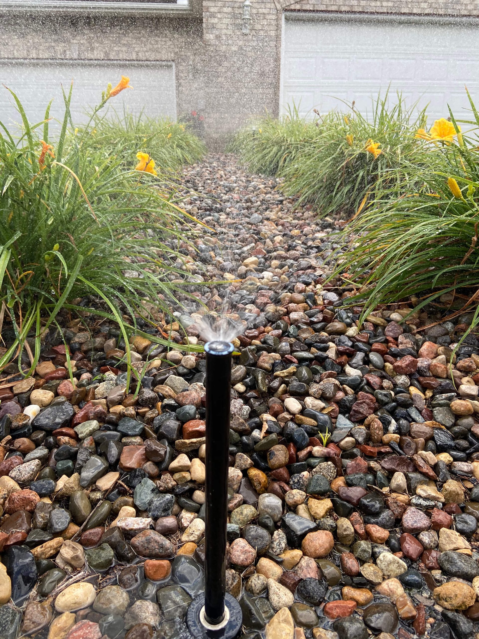 sprinkler watering yellow flowers