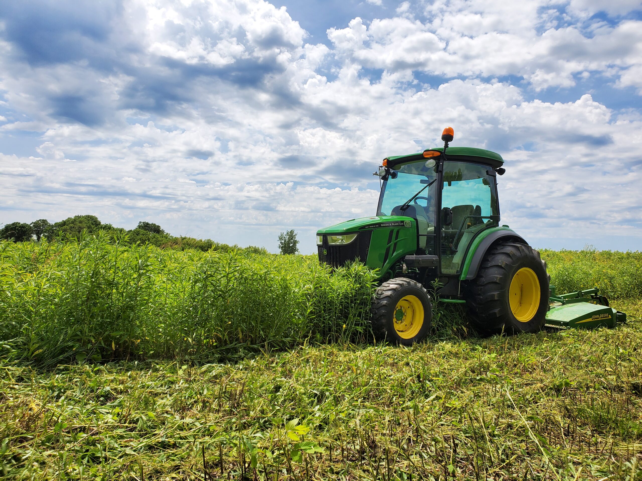 Bush Hogging Field