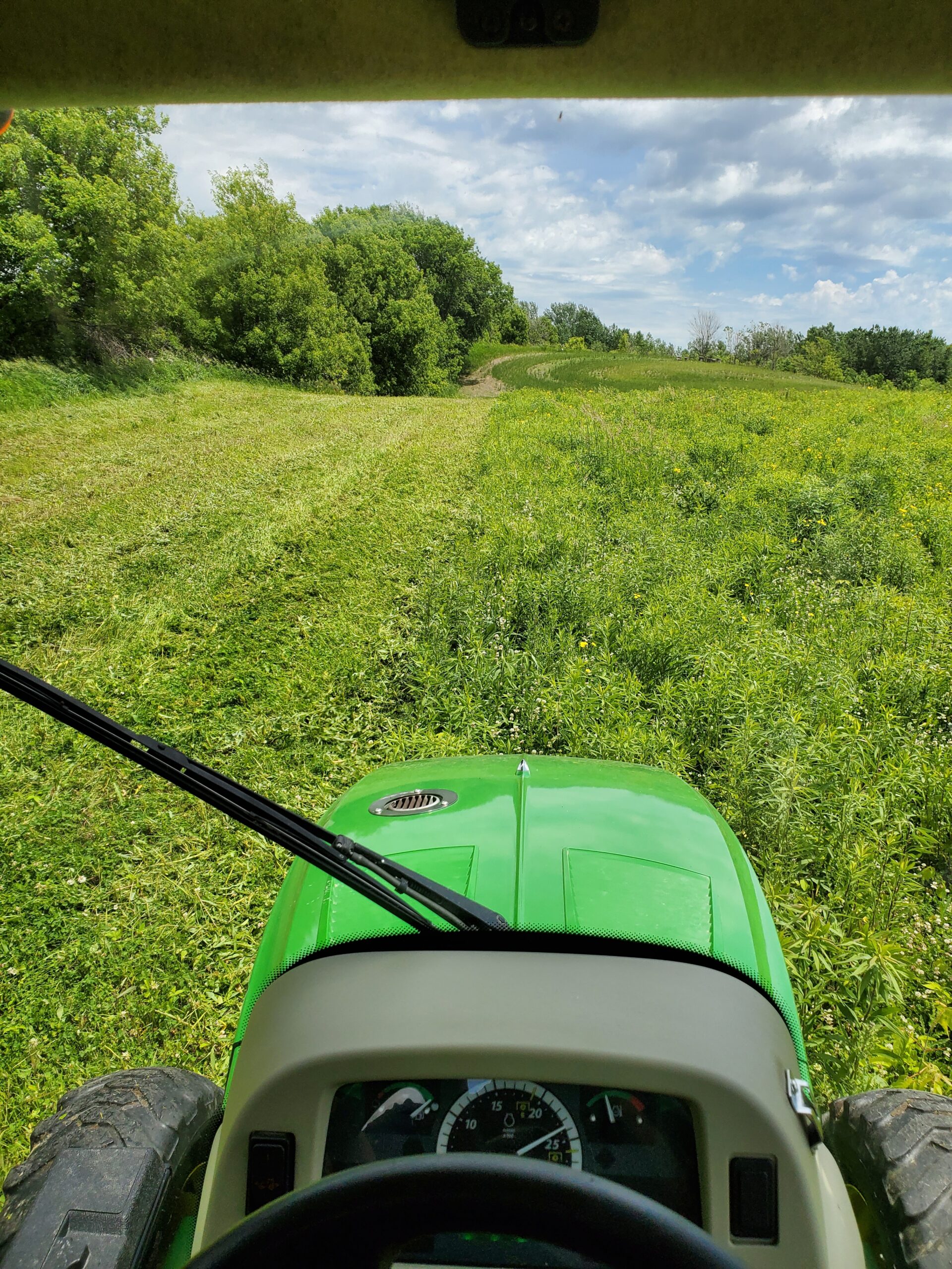 Bush Hogging POV