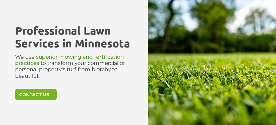 We use superior mowing and fertilization practices to transform your commercial or personal property