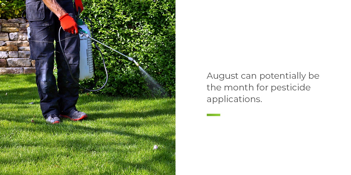 August can potentially be the month for pesticide applications.