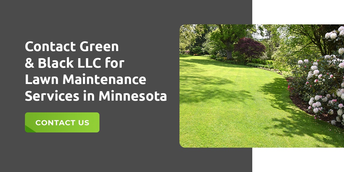 Contact Green & Black LLC for Lawn Maintenance Services in Minnesota