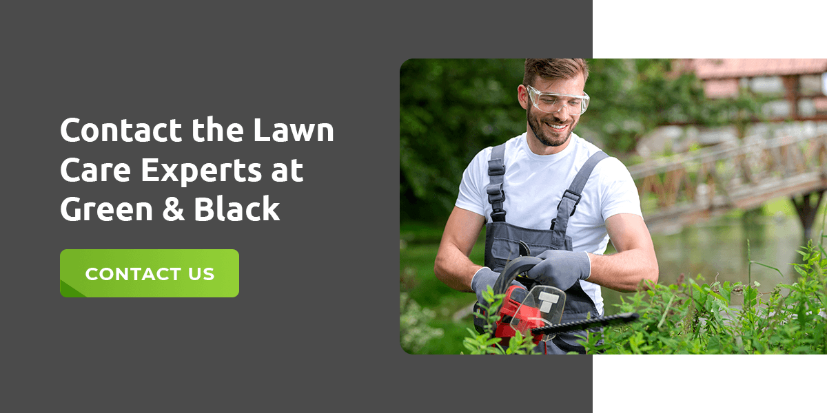 Contact the Lawn Care Experts at Green & Black