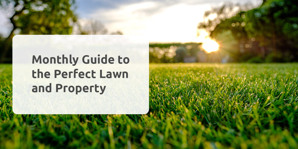 Monthly Guide to the Perfect Lawn and Property