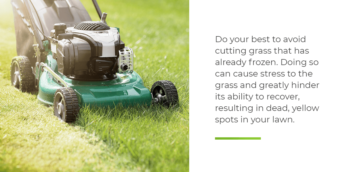 Do your best to avoid cutting grass that has already frozen.