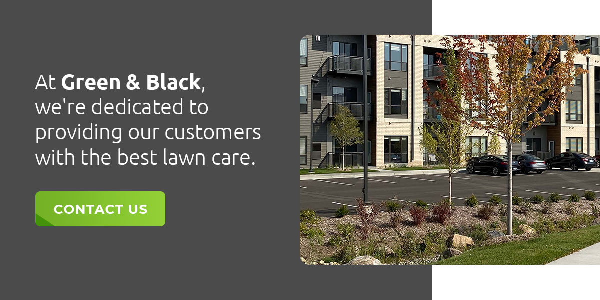 Green & Black is dedicated to providing the best lawn care