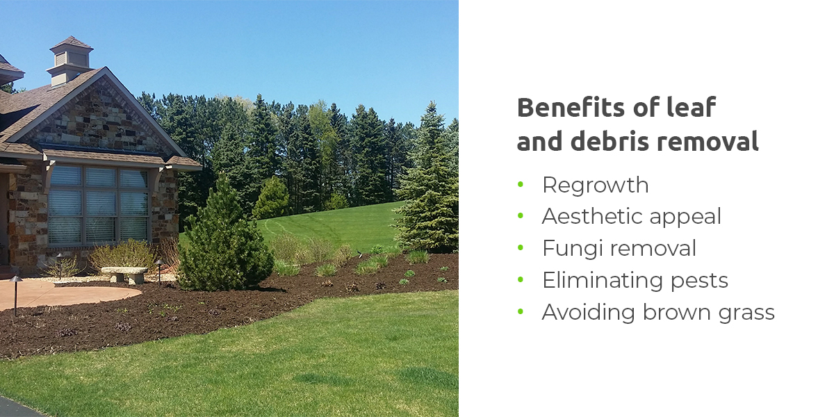 Benefits of leaf and debris removal