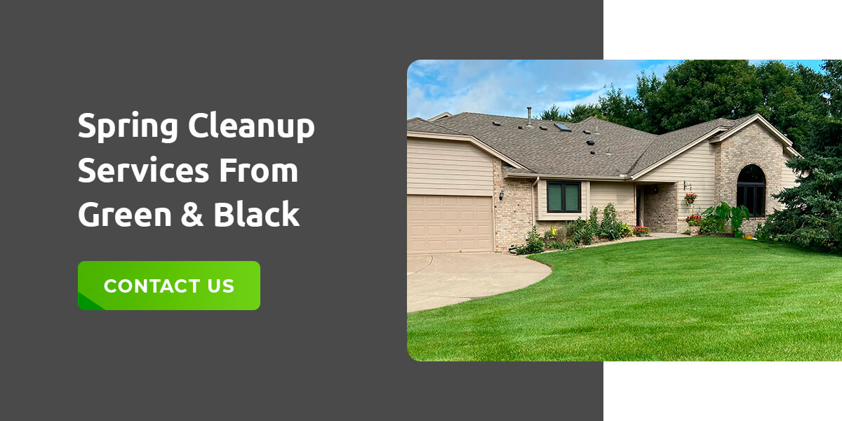 Spring Cleanup Services from Green and Black