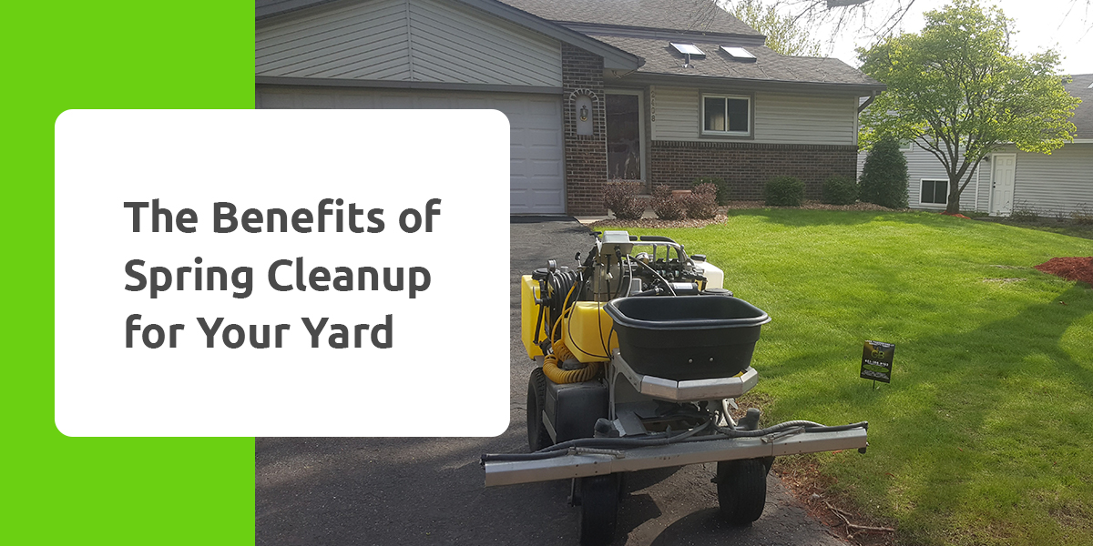 Benefits of Spring Cleanup for Your Yard Green & Black