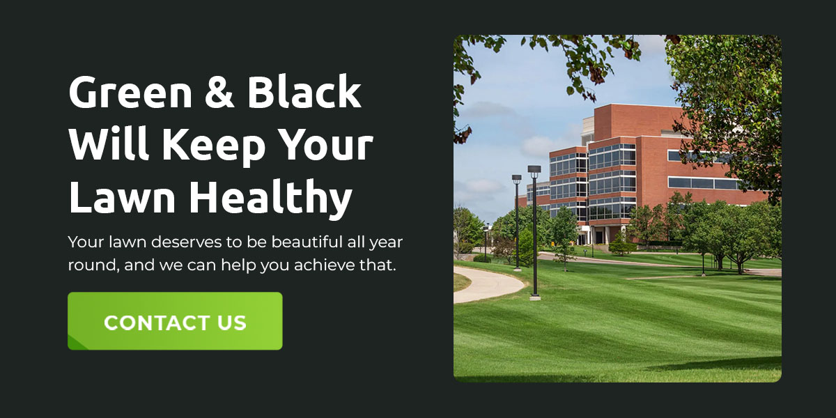 Green & Black Will Keep Your Lawn Healthy
